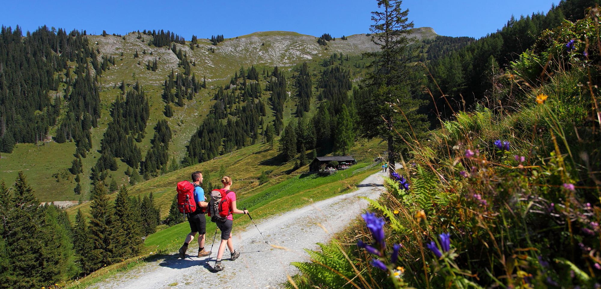 Geführte Wanderung