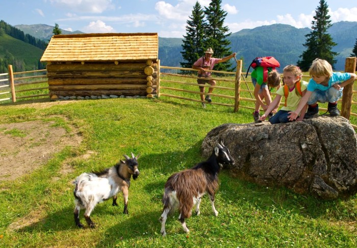 Streicheltiere f&uuml;r Kinder auf den Almen &copy; www.grossarltal.info_Michael Gruber