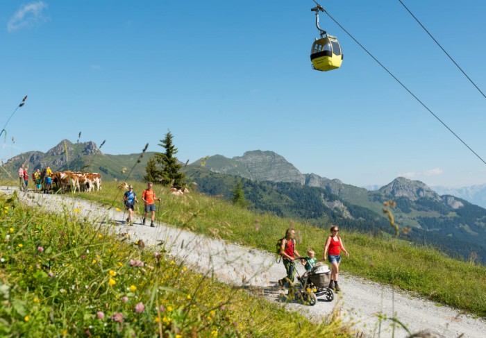 Sommerbergbahnen in Großarl © www.grossartal.info