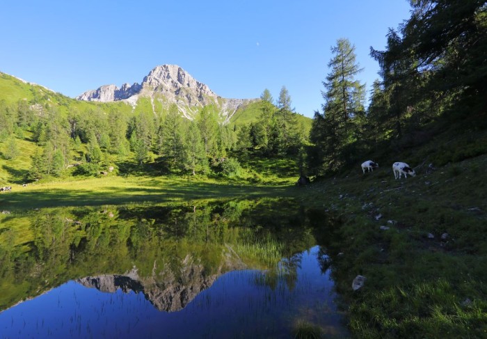 Wanderung zur Filzmooslacke mit Draugstein im Hintergrund &copy; Tourismusverband Gro&szlig;arltal
