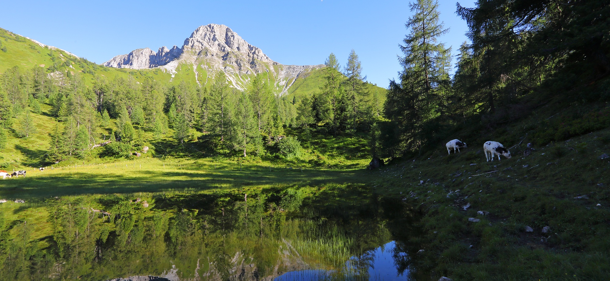 Wanderurlaub mit der Familie im Großarltal © Tourismusverband Großarltal
