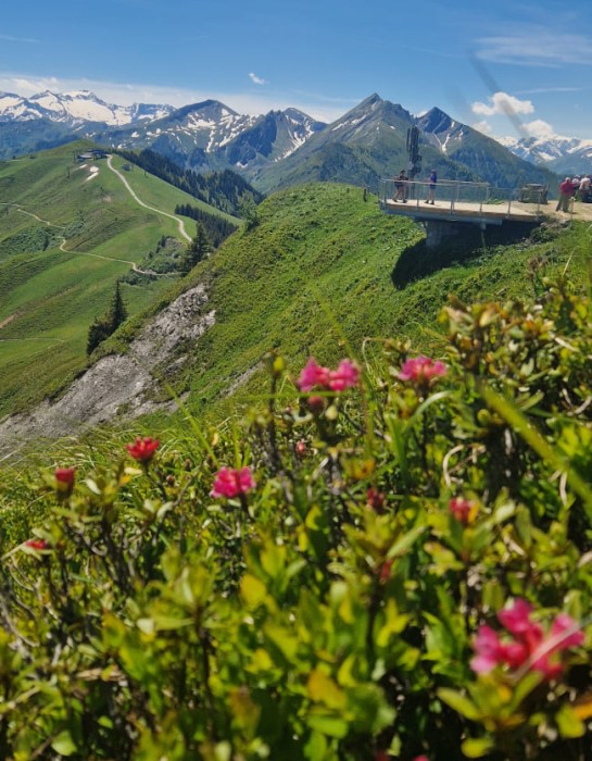 Aussichtsplattform am Fulseck &copy; TVB Gro&szlig;arltal
